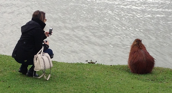 Lady with Capybara blog